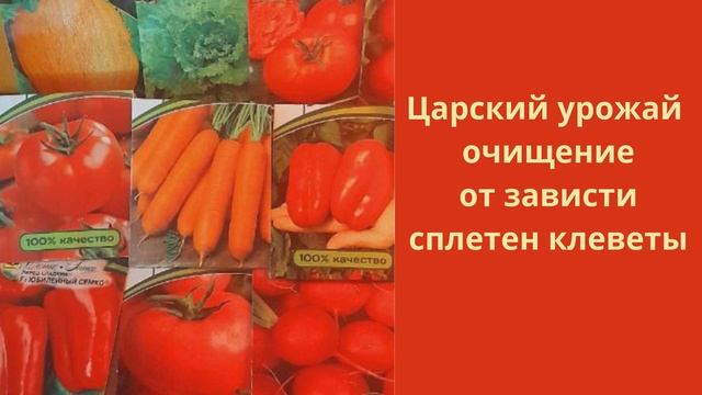 Царский урожай  очищение от зависти, сплетен, клеветы.