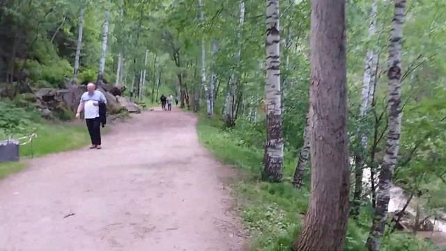По Лесу в Горы к Старой Мельницы 1800 г.Белокуриха 1Часть, Алтайский край....