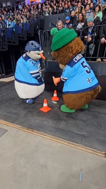Всегда веселят