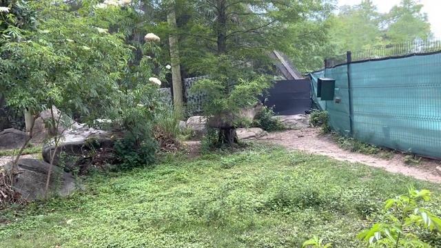 Audubon Zoo Episode 12: Emu Outpost (Finale)