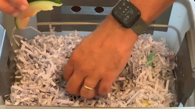 Introduction of my Tiny Worm Bin created during a county extension services vermicomposting class.