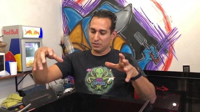 TopTank 4: Dos Monster sump para un Monster tank! Pt.1 Ft. @lixapeceras664