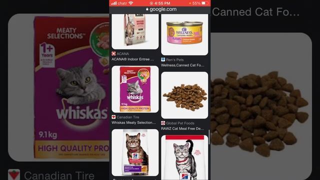 Cat Food 🐱 🐈 🐈⬛