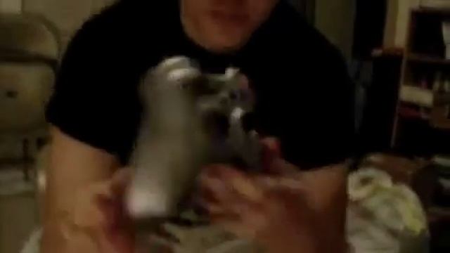 Bundy&Yerkes Gaming Halo Reach Console Opening