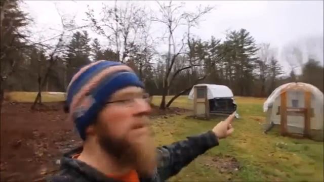 What To Feed Turkeys To Fatten Them Up