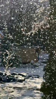 Зимняя сказка в крафтовой мастерской Княгинюшка #красота #краснодаскийкрай #природа #здоровье