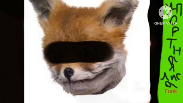 Упортная лиса с тт funk
