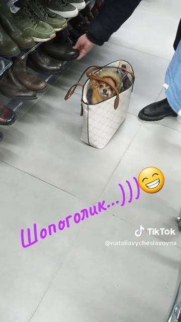 Шопоголик...)))