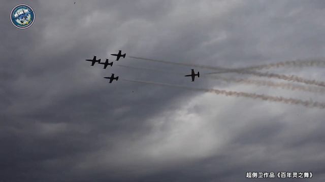 Flight Review | 4 G-Force Aerobatics in Breitling Jet Team