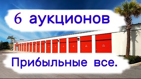 6 аукционов. Все прибыльные.