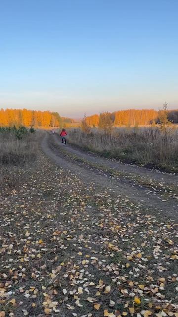 Прекрасная осенняя пора