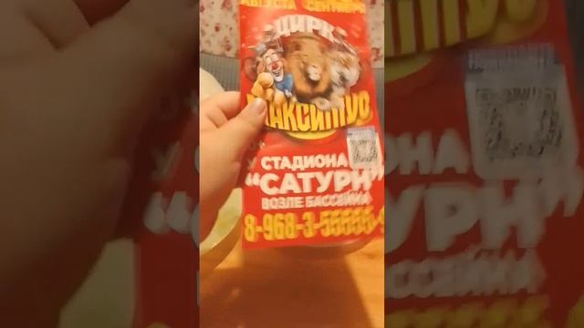 цирк Максимус в Раменском
