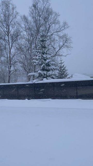 06-02-2025 Сахалин февраль
