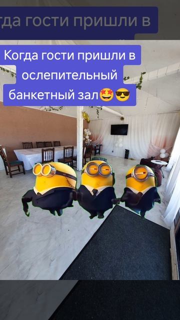 Даже МИНЬОНЫ знают, где праздновать в Беларуси!