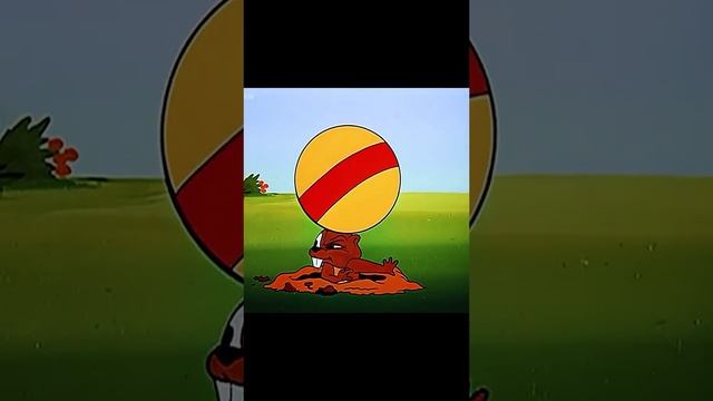1000004470.mp4