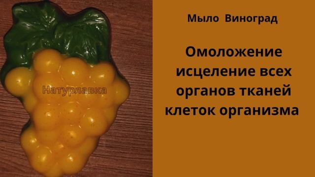 Омоложение и исцеление всех органов, тканей, клеток организма.
