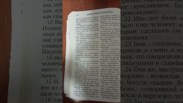 Моя еврейская съедобная правда.