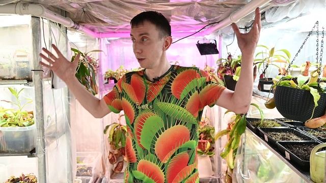 Редкие непентесы из коллекции Сергея Куницына