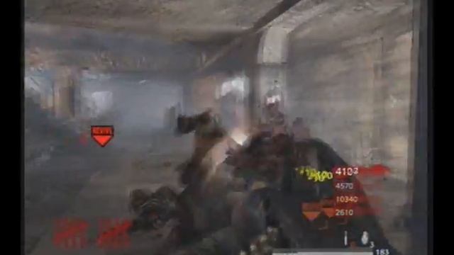 nazi zombie the blodiest round 10/11