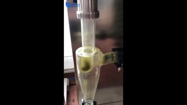 China Spray dryer testing for green tea - LABOAO