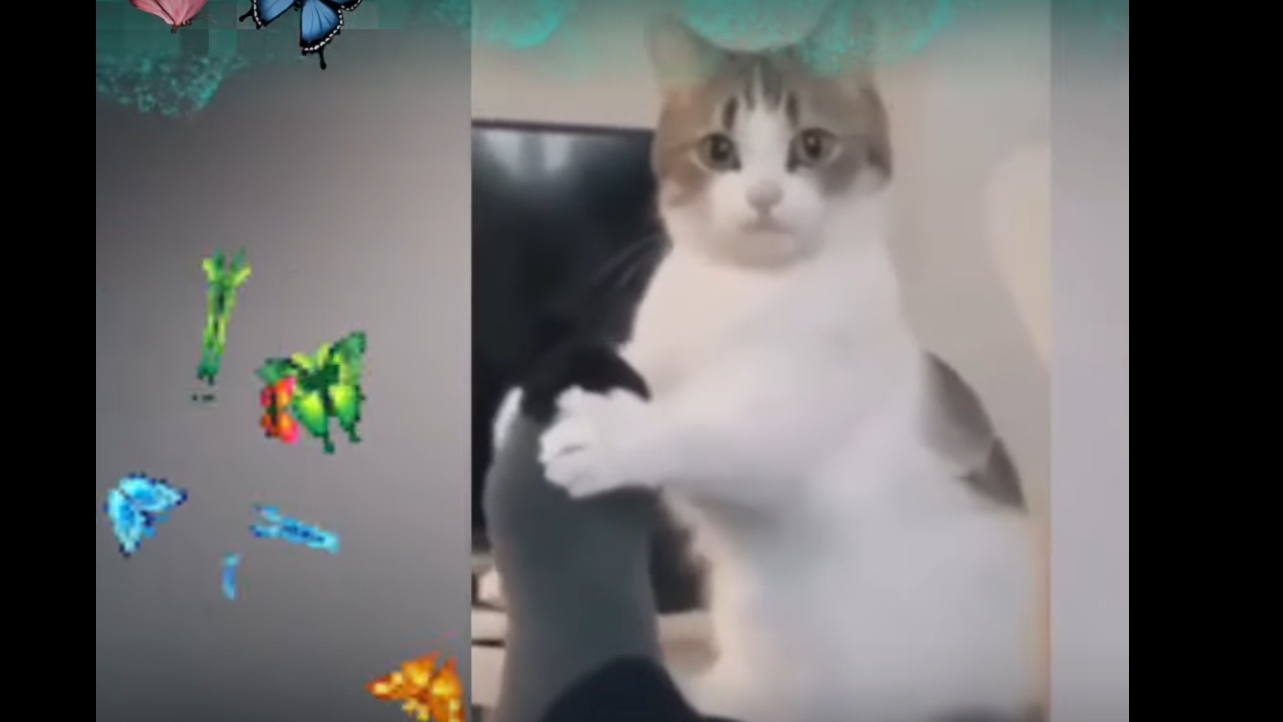 БОКАЛ с ... КОТАМИ