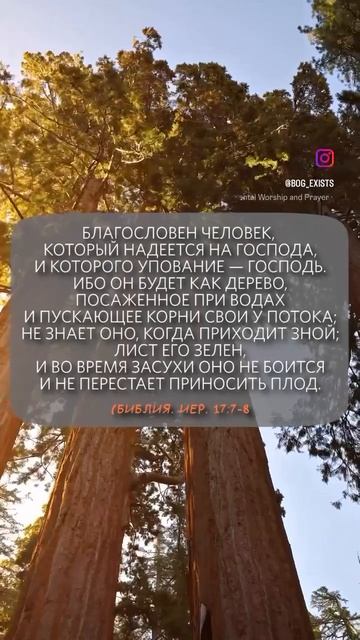 Иер. 17:7-8