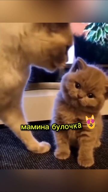 Новая подборка готова)