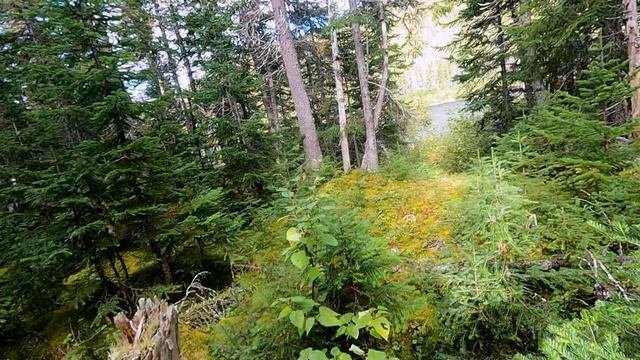 В изоляции. 9 сезон. 1 серия. Падение и шок