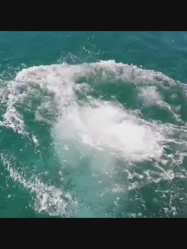 #море
