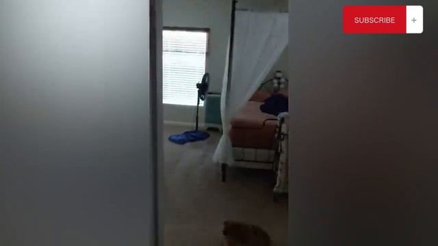 Лучшие страшные розыгрыши 5