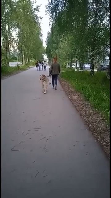 18 июня 2022 г.