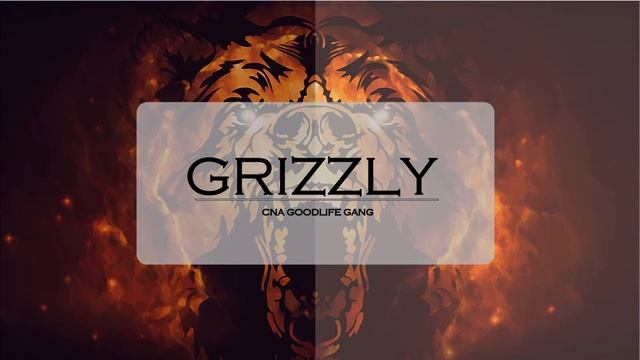 Drake x T-pain x lil wayne x future type beat - "Grizzly" (prod. by CNA Goodlife gang)