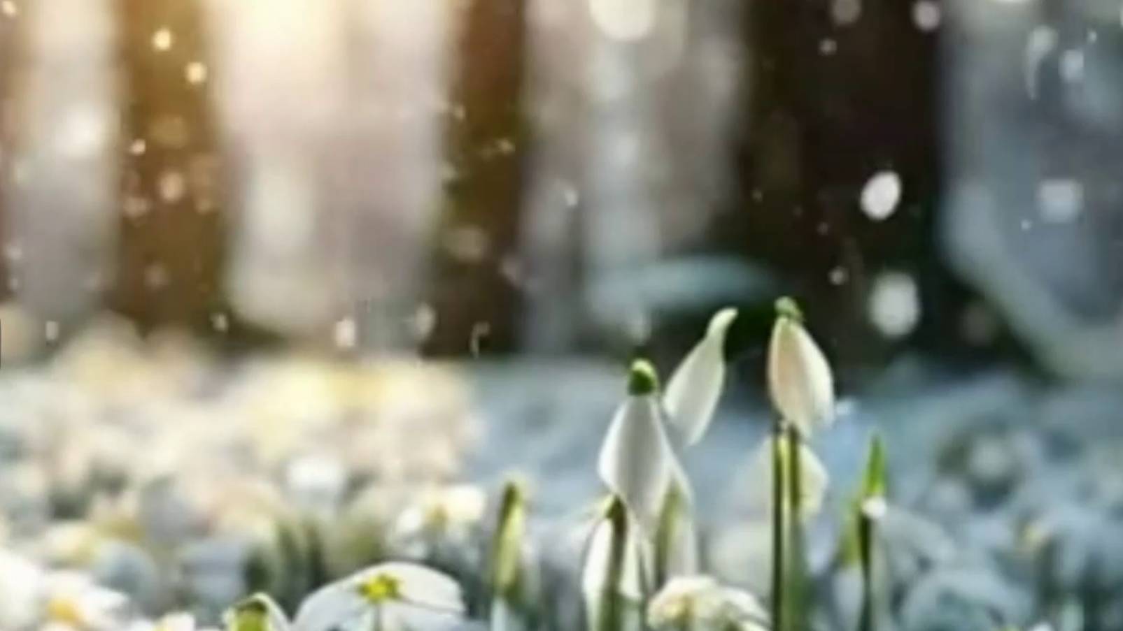 Слушать рассказ - В ожидании настоящей любви - Истории из жизни