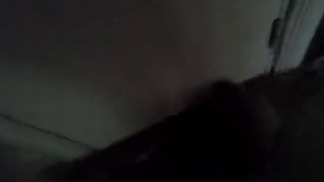 дартвейдер против пса, ржака смотреть всем