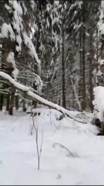 Приключение на снегоходах