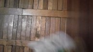 Коллекция из резинок