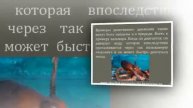 Презентация на тему Реактивное движение