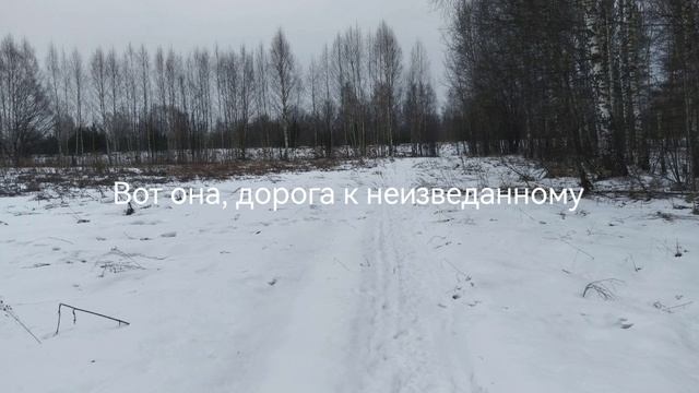 Природа. По дороге к неизведанному