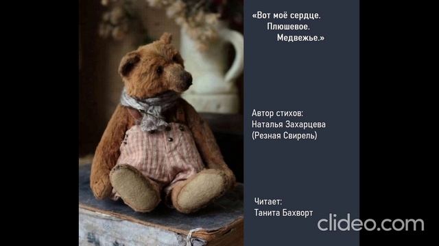 Плюшевая сказка ("Вот моё сердце. Плюшевое. Медвежье...")