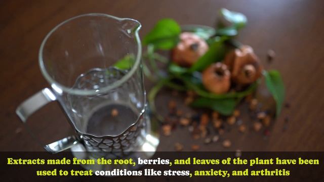 "The Top 5 Natural Drinks to Fight Insomnia: Discover How to Relax and Sleep Better