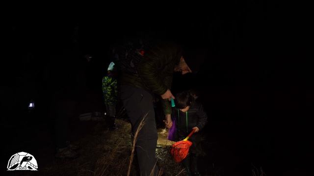 SOFO | Annual Eastern Tiger Salamander Search