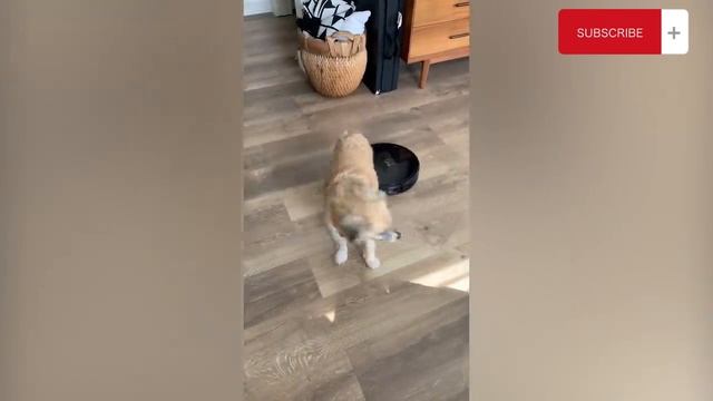 Лучшие страшные розыгрыши 1