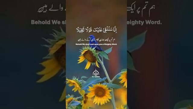 1000001331.mp4