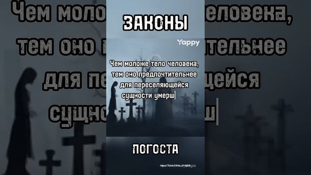 ЗАКОНЫ ПОГОСТА