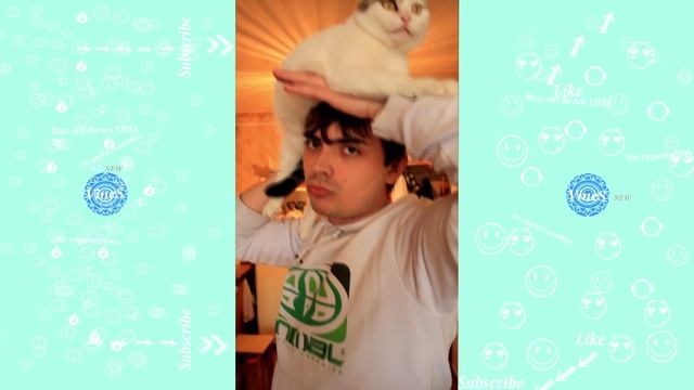 Скетч шоу - Взял льва на голову, полный пи*дец
