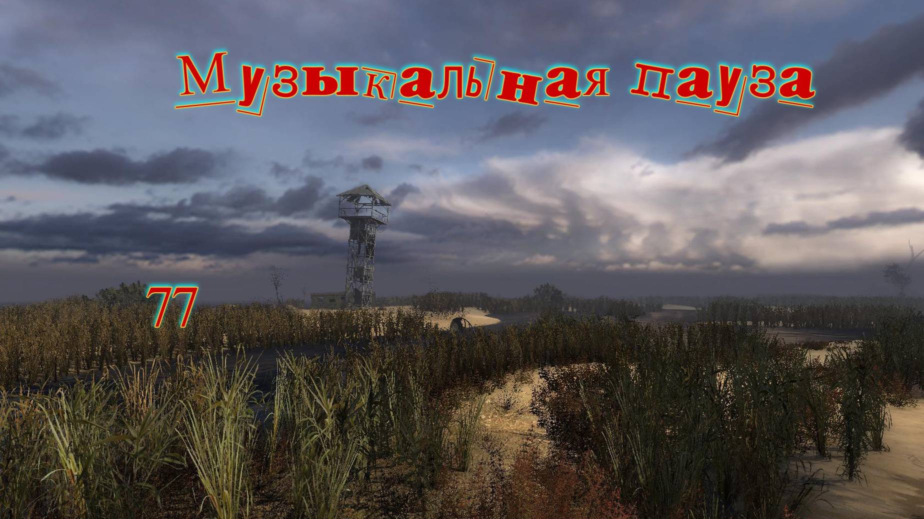 Музыкальная пауза № 77. Чиж.