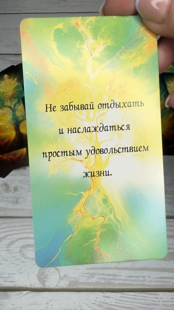 Подсказка Вселенной ❤️ 06-02-2025