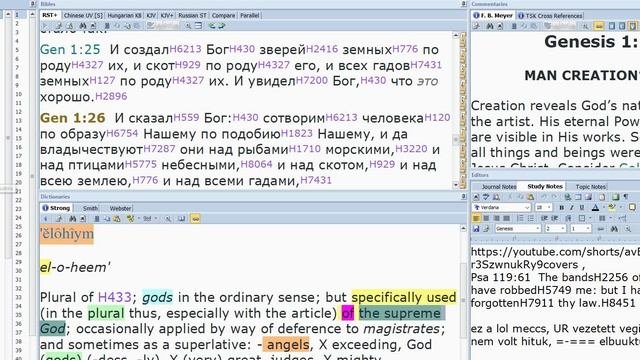 (RU) Гоцлодь Бог- 2 расе