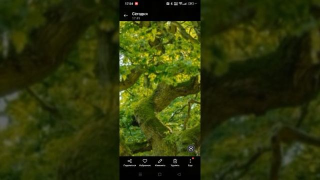 1000023379.mp4