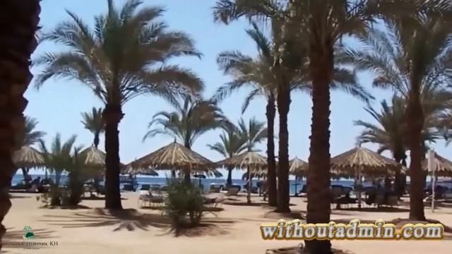 Without Admin   ОТЗЫВЫ ОТ ПАРТНЁРОВ С ЕГИПТА